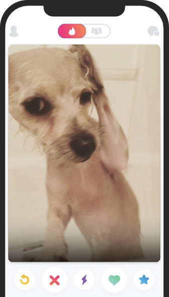iPhone showcasing TinDog UI